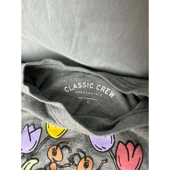 Aeropostale Gray T Shirt Graphic Ants Tulips Make Your Own World Kids S - Picture 3 of 5